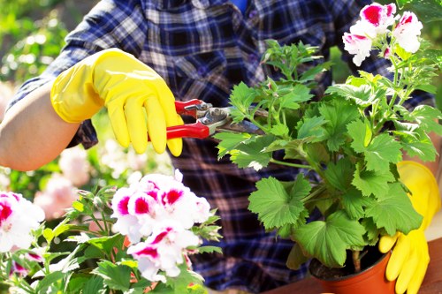Illustration of essential cookies supporting a gardening website experience