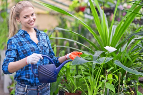 Gardeners Leyton working on a well-kept residential garden