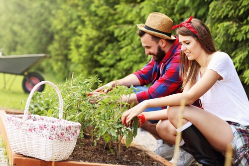 Seasonal gardening work carried out in Leyton