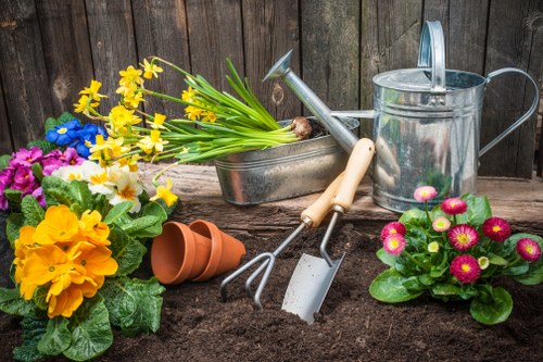 Healthy green lawn with local garden maintenance in Leyton