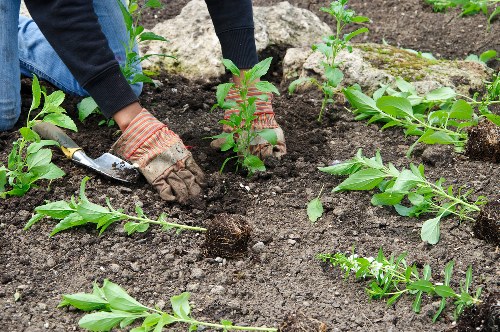 Gardeners Leyton pricing overview for a small front garden