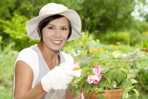 Seasonal lawn maintenance in Leyton garden space