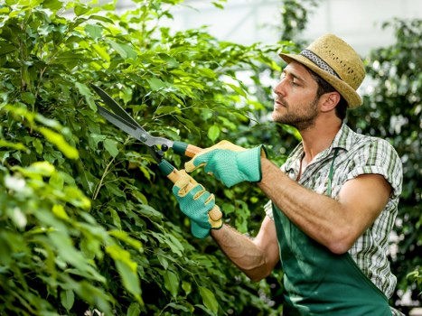 Supplier audit and compliance review for Gardeners Leyton