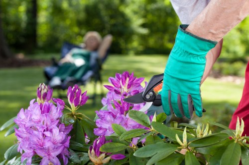 Low-maintenance landscaping in Leyton with paving and evergreen plants