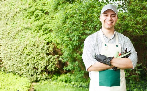 Seasonal hedge trimming and garden care in Leyton