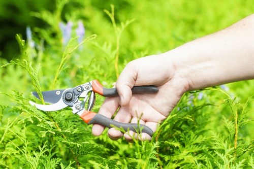 Removing branches and broken garden items during garden clearance in Leyton