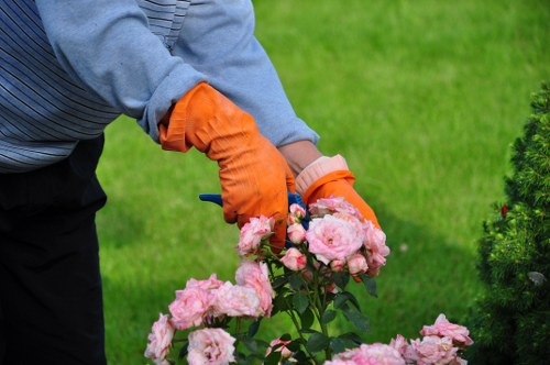 Final review of a health and safety policy for gardening services