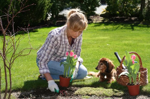 Leyton gardener carrying out a risk assessment before work