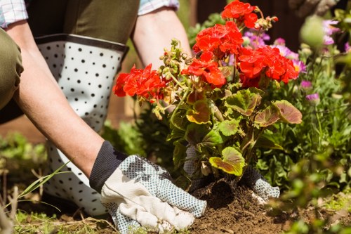 Seasonal planting and hard landscaping in a Leyton garden