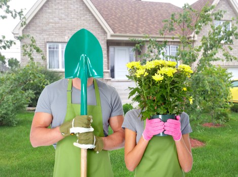 Local garden maintenance in Leyton with healthy planting