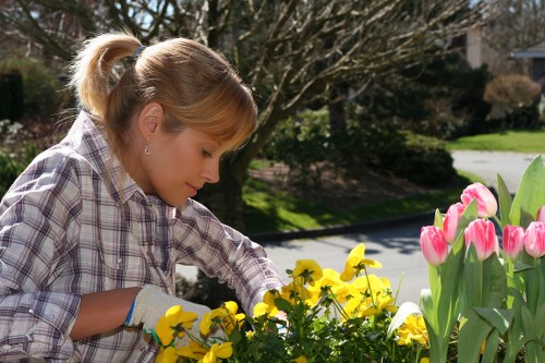 Seasonal planting and landscaping work in a Leyton garden