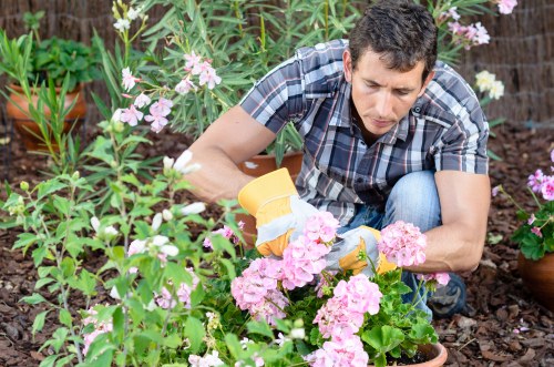 Seasonal lawn care work in a Leyton garden