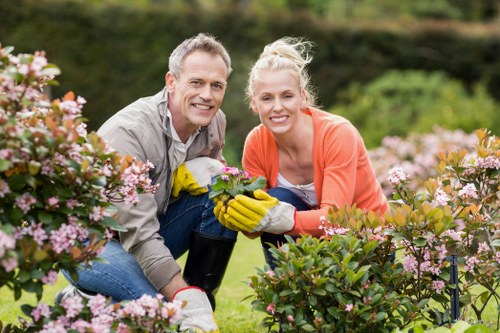 Clean and even lawn mowing results in Leyton