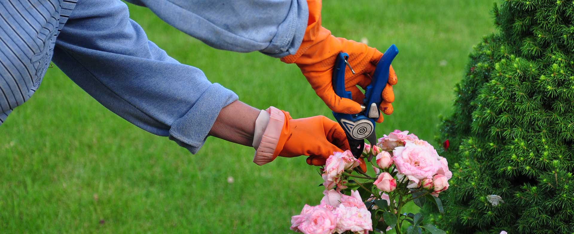 Gardeners Leyton